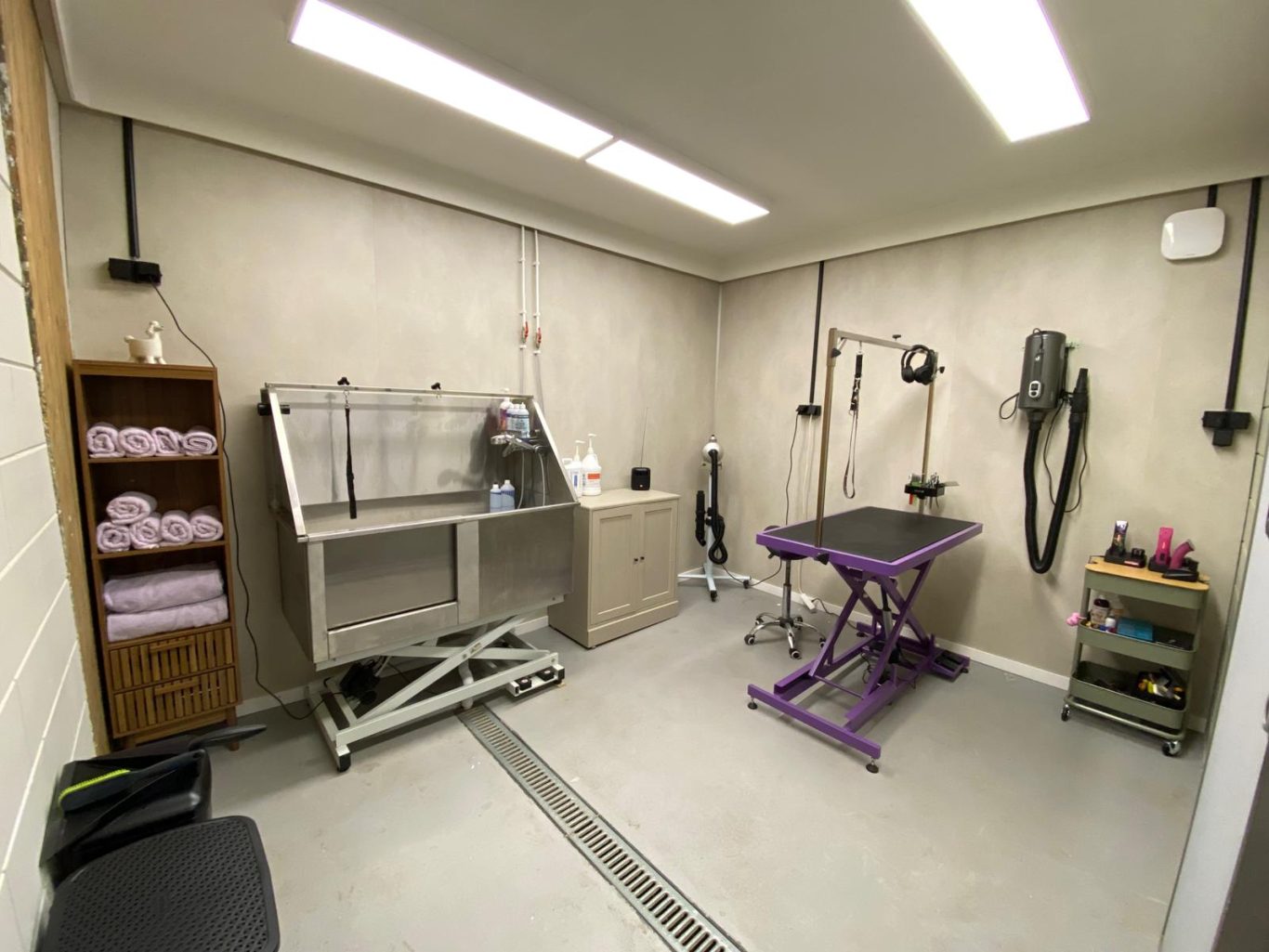Interieur van rustige hondentrimsalon in Biddinghuizen, Dronten waar honden professioneel worden verzorgd en getrimd